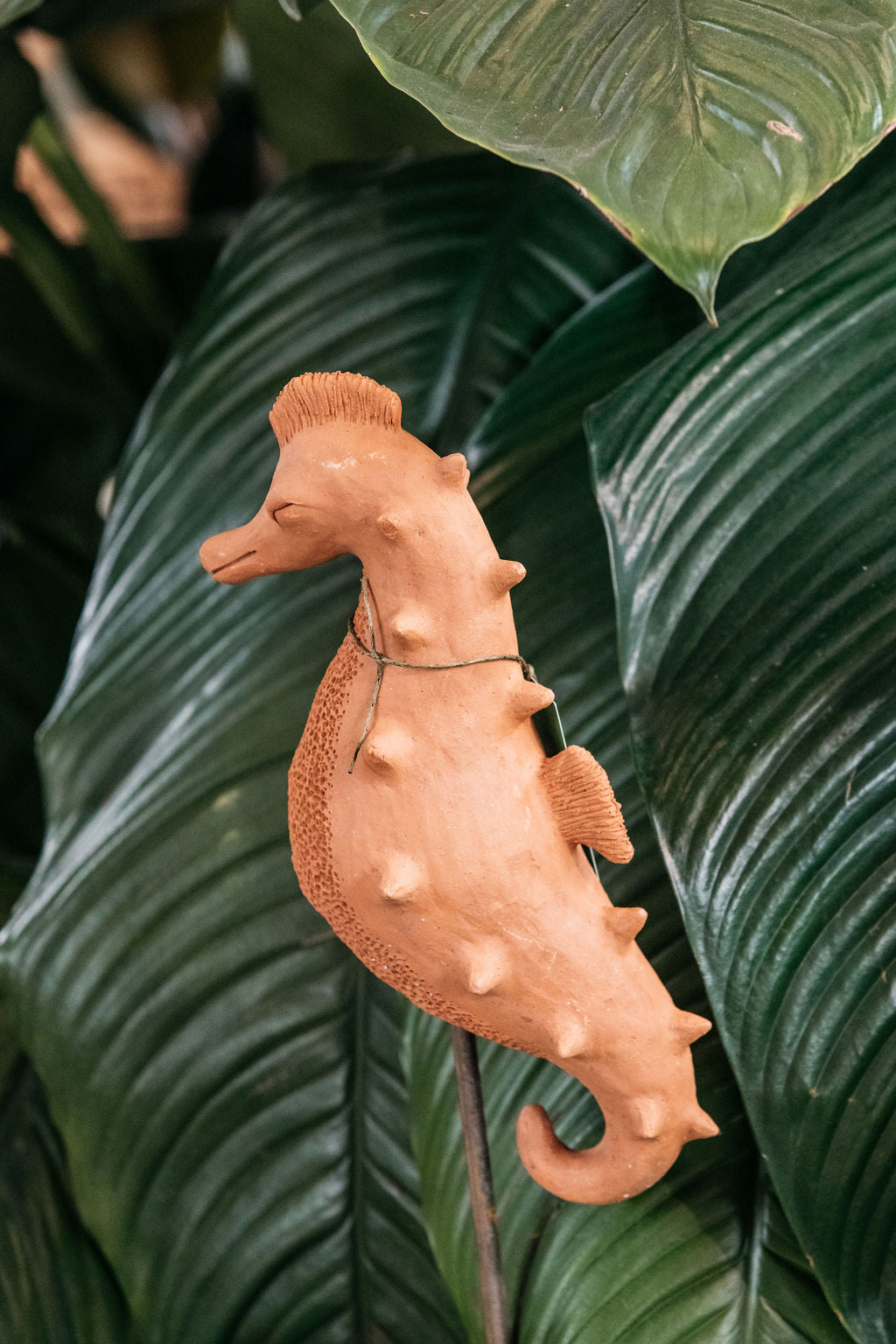 Terracotta Sea Horse