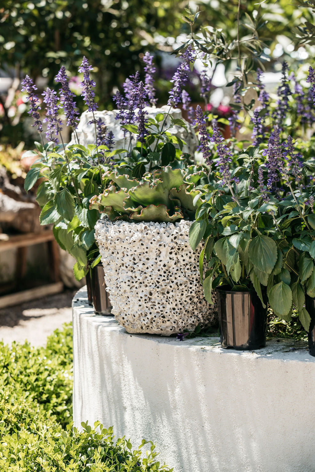 Barnacle Round Pot