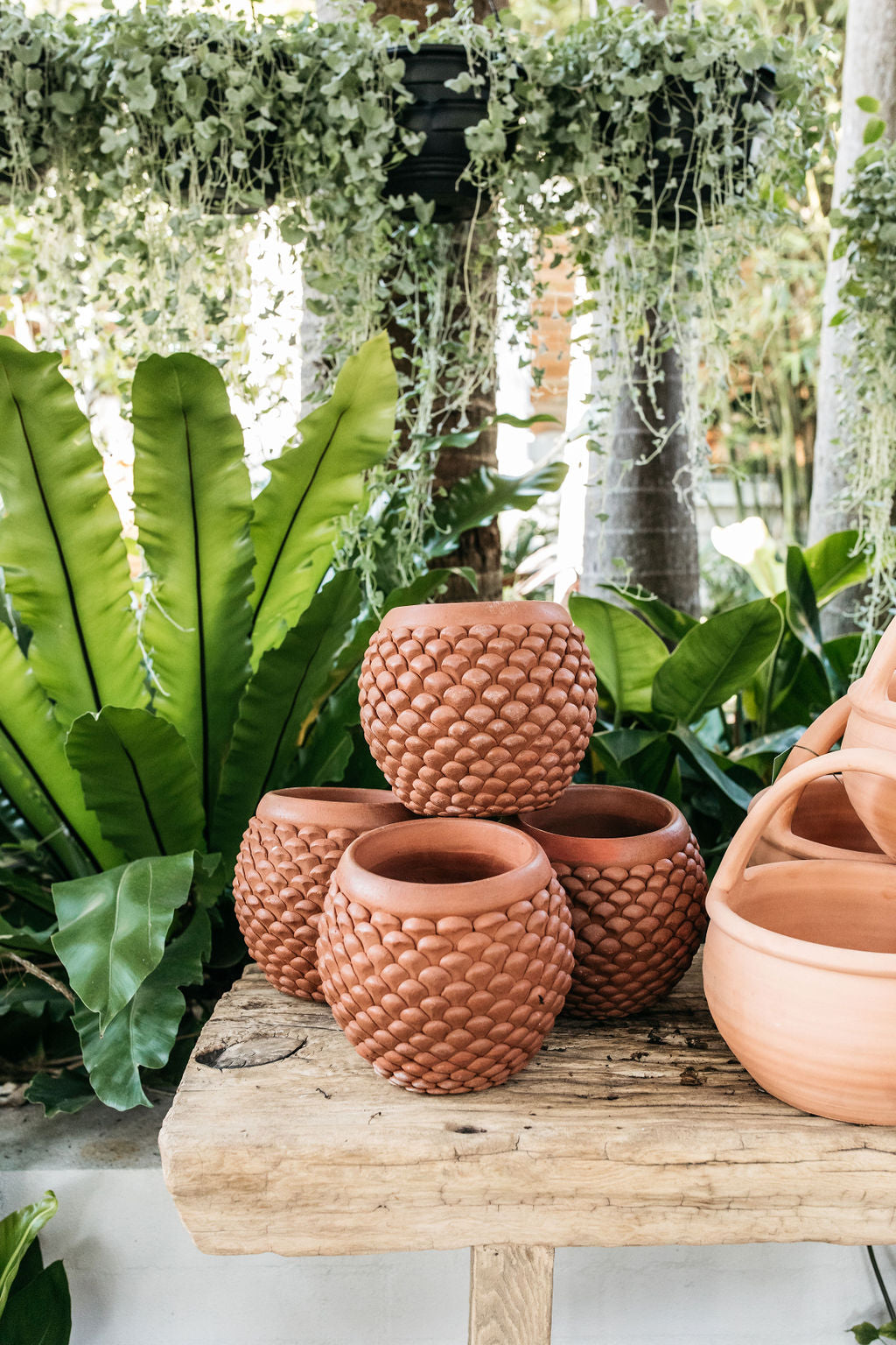 Pine Cone Terracotta Planter