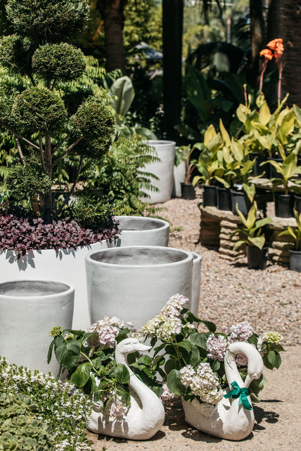 Palms Glazed Planter