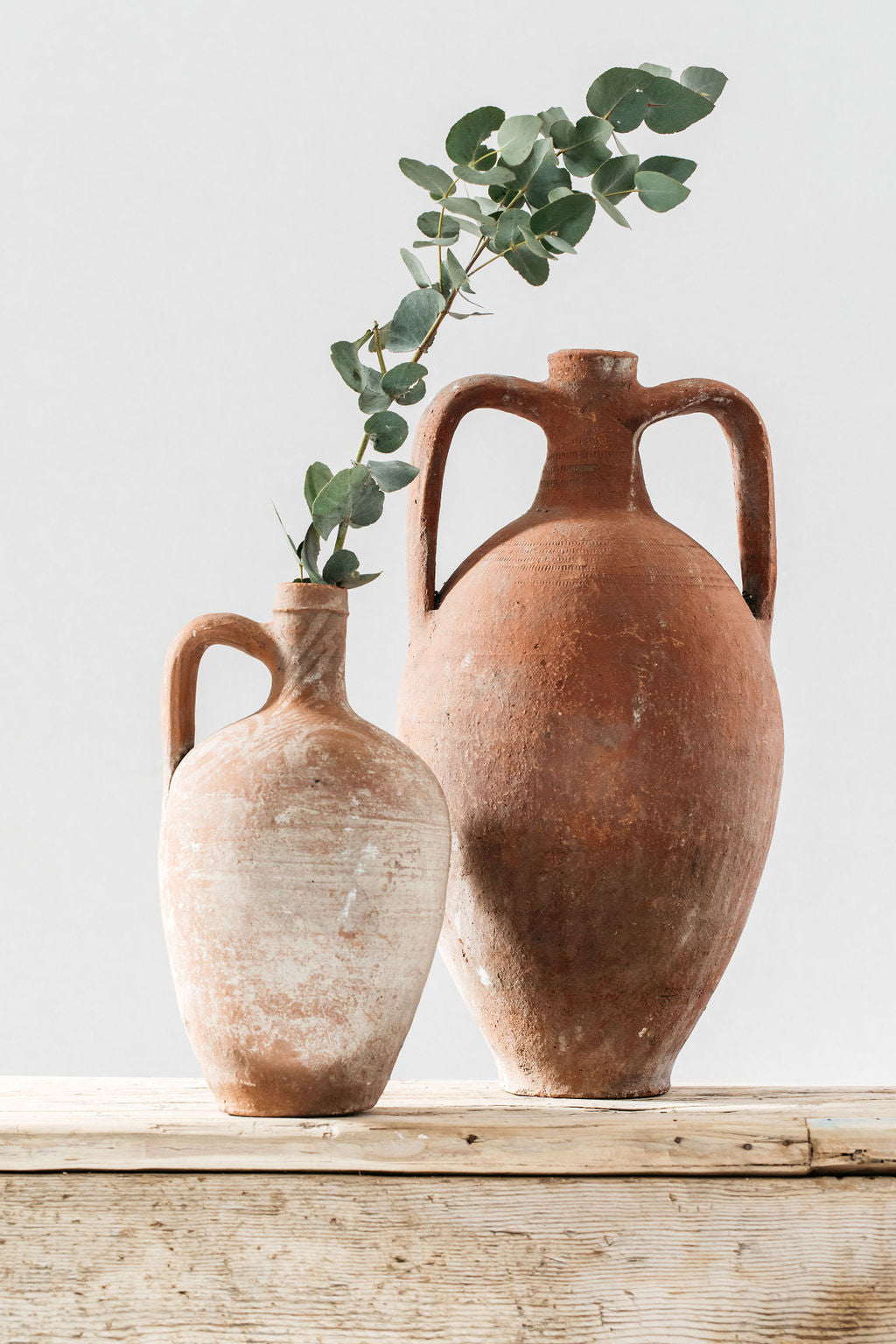 Amphora Pot