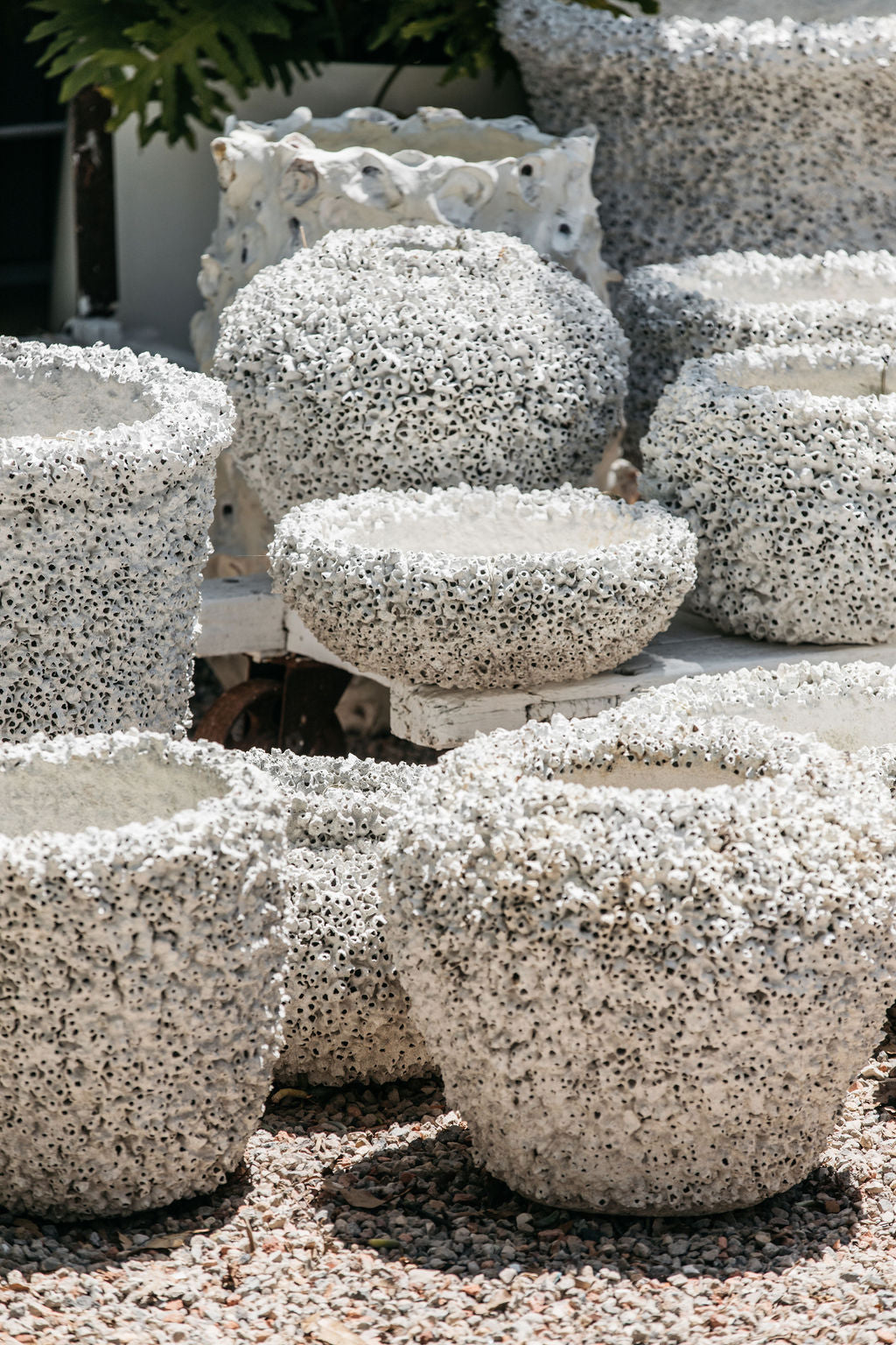 Peracles Pot Barnacle Vase Pot – The Palms Sydney