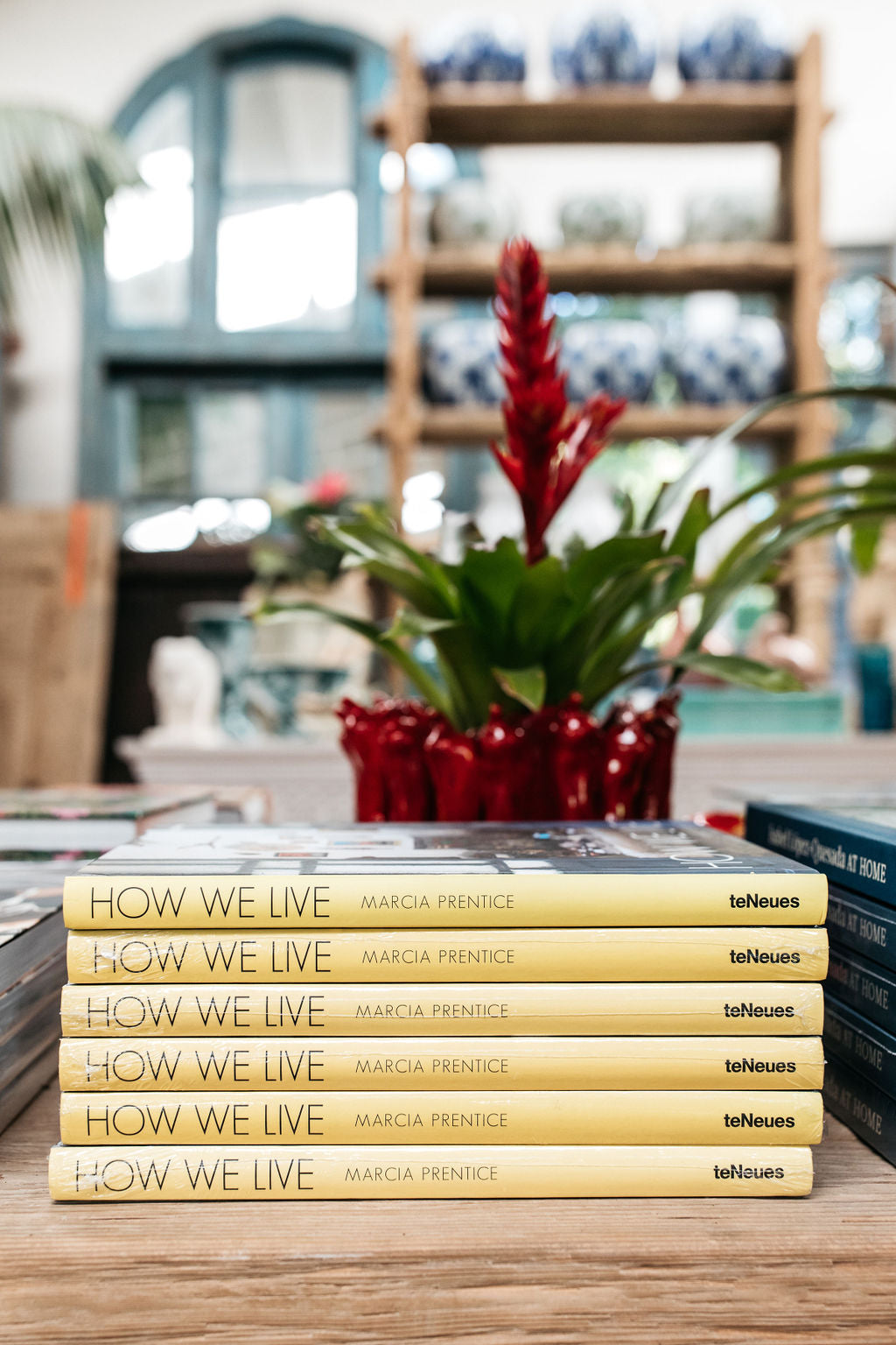 How We Live by Marcia Prentice