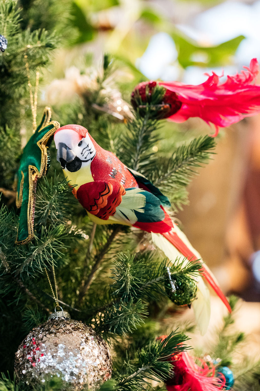 Small Feathered Bird on Stick