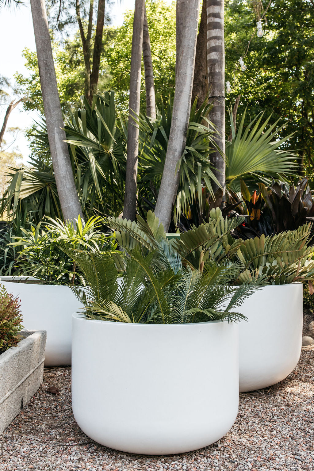 Palms Tub Satin White