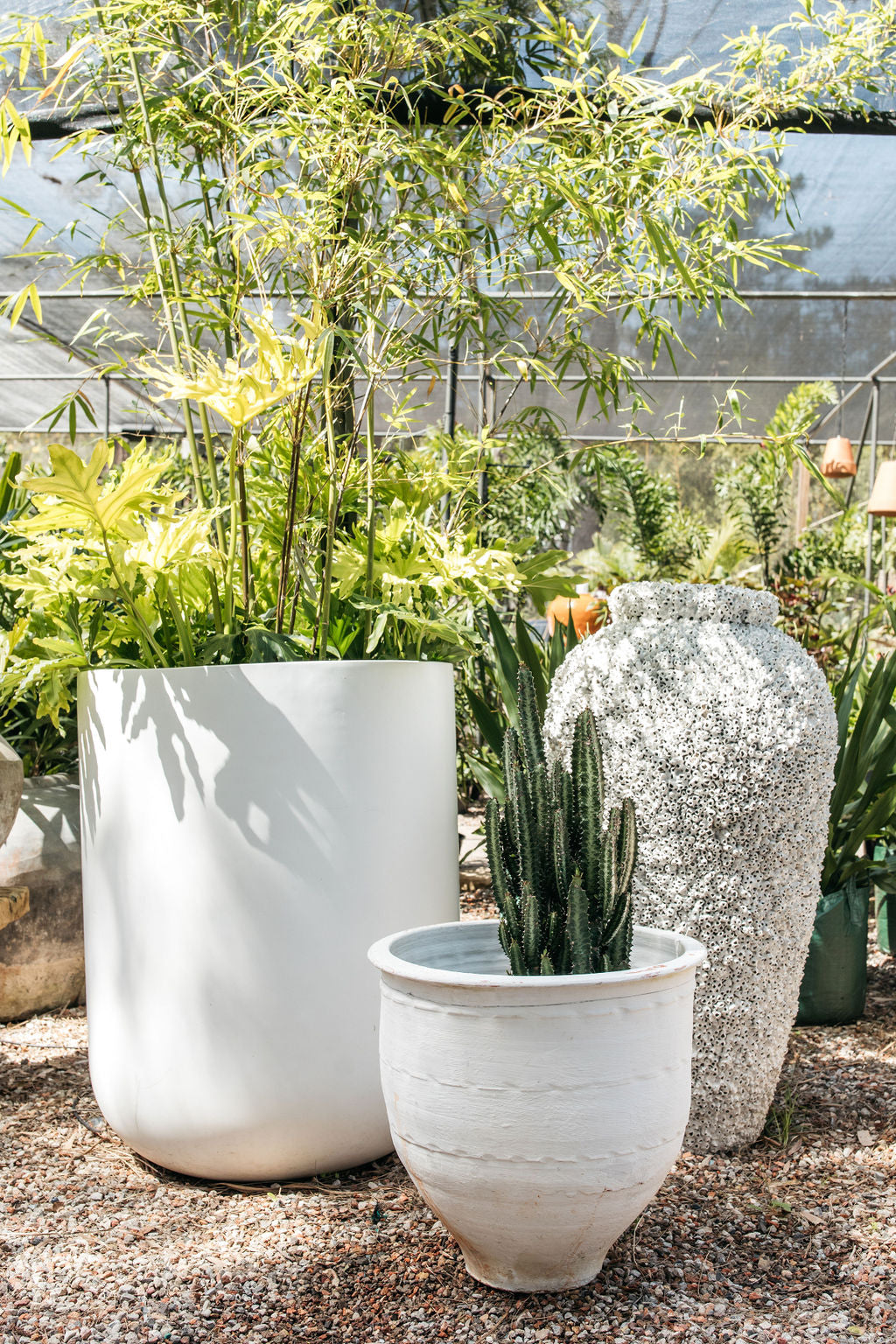 mouth plant pot Open Mouth Dagar Pot