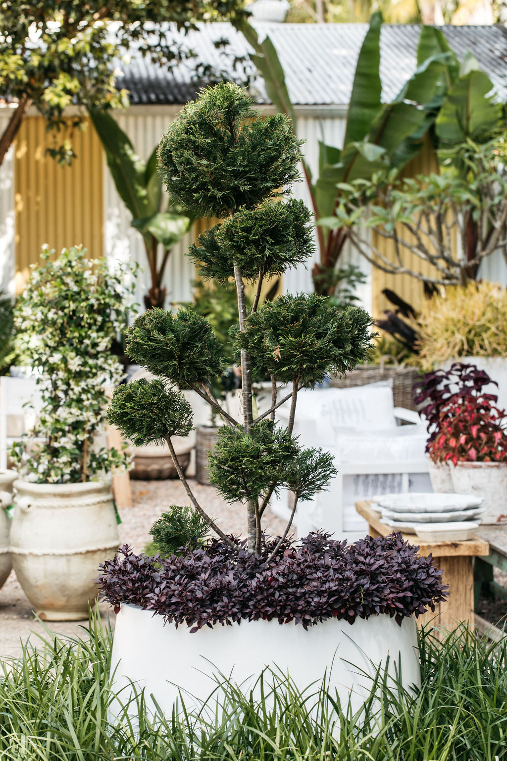 Satin Tub Planter