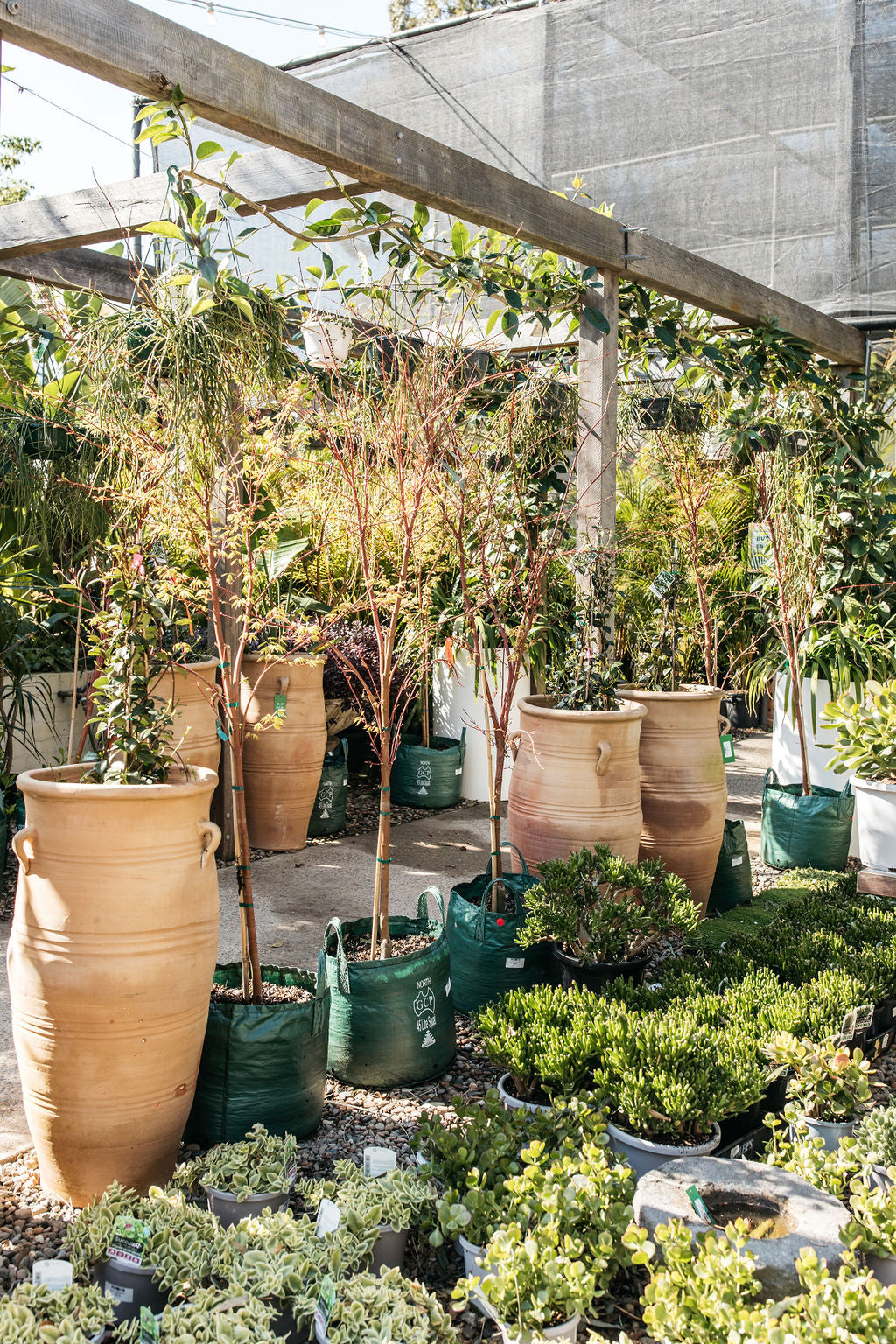 Tall Greek Style Pot 100cm