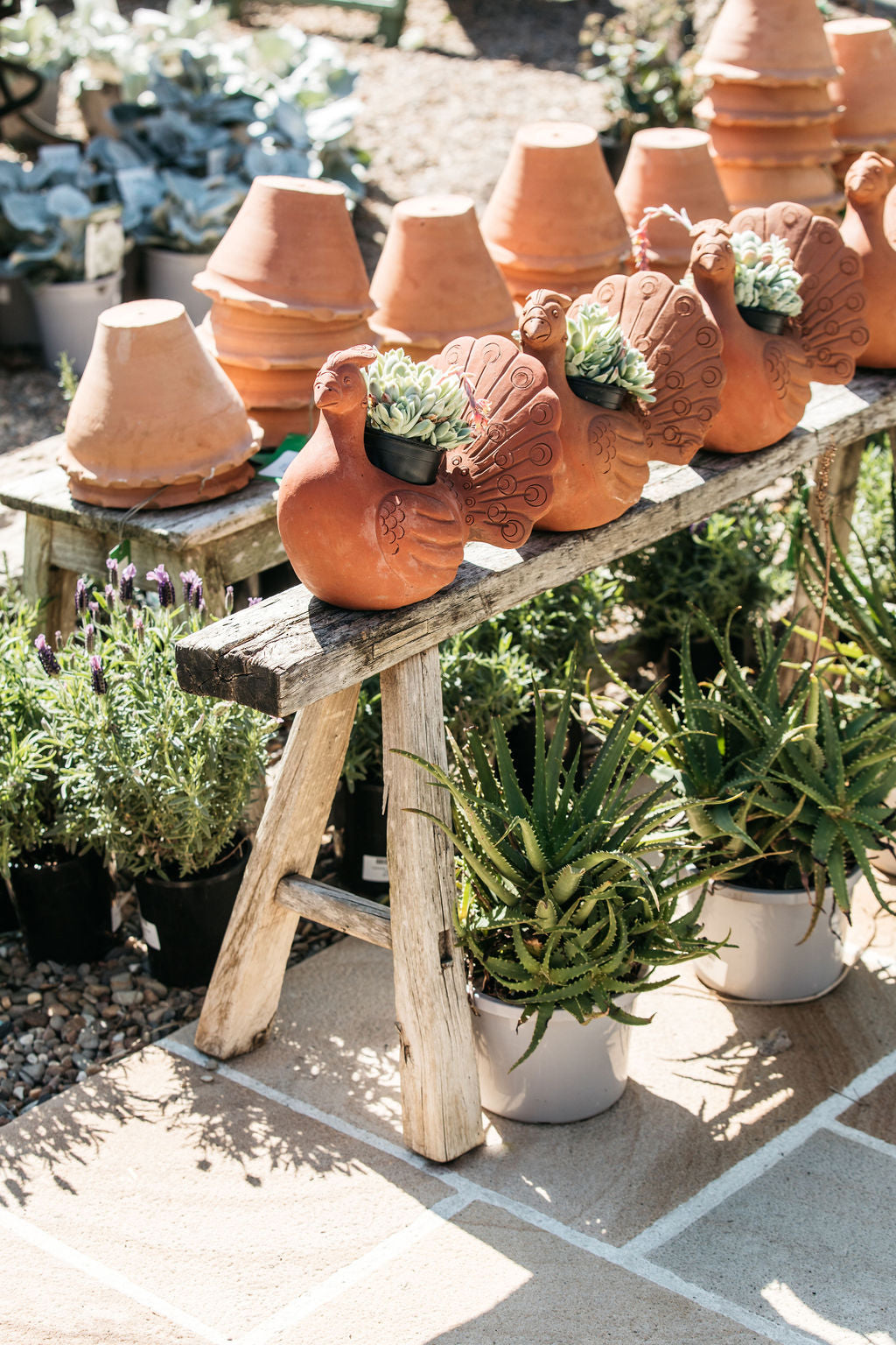 Terracotta Peacock Planter