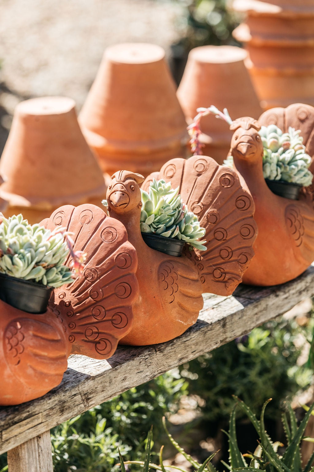 Terracotta Peacock Planter