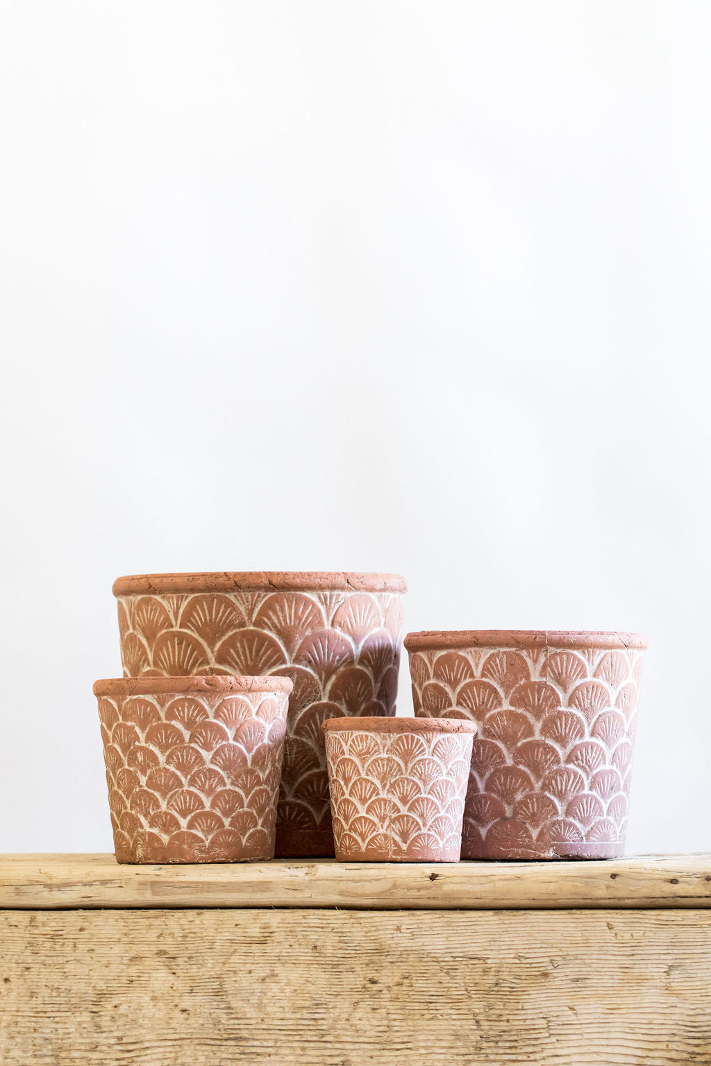 Terracotta Shell Pots