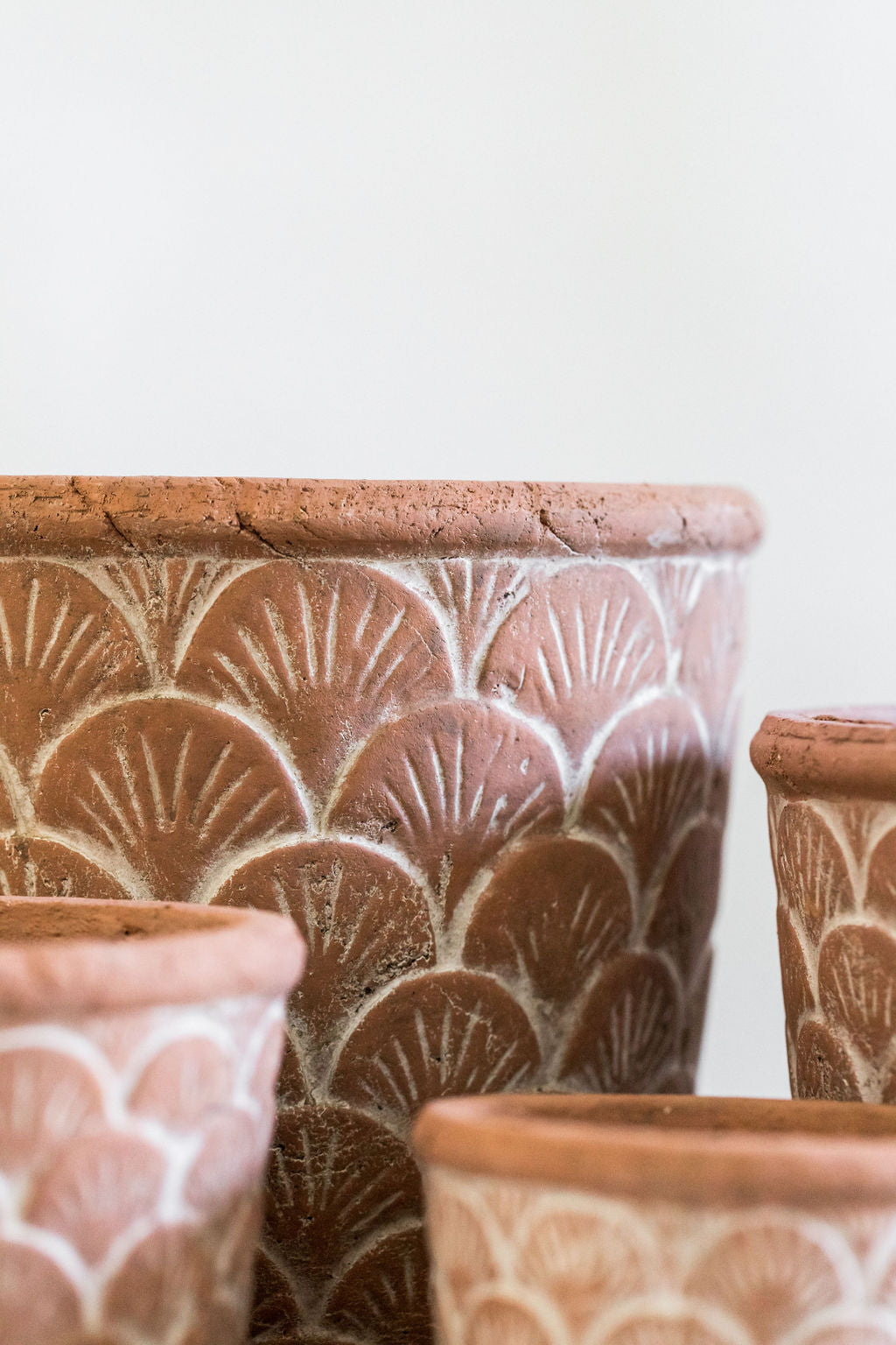 Terracotta Shell Pots