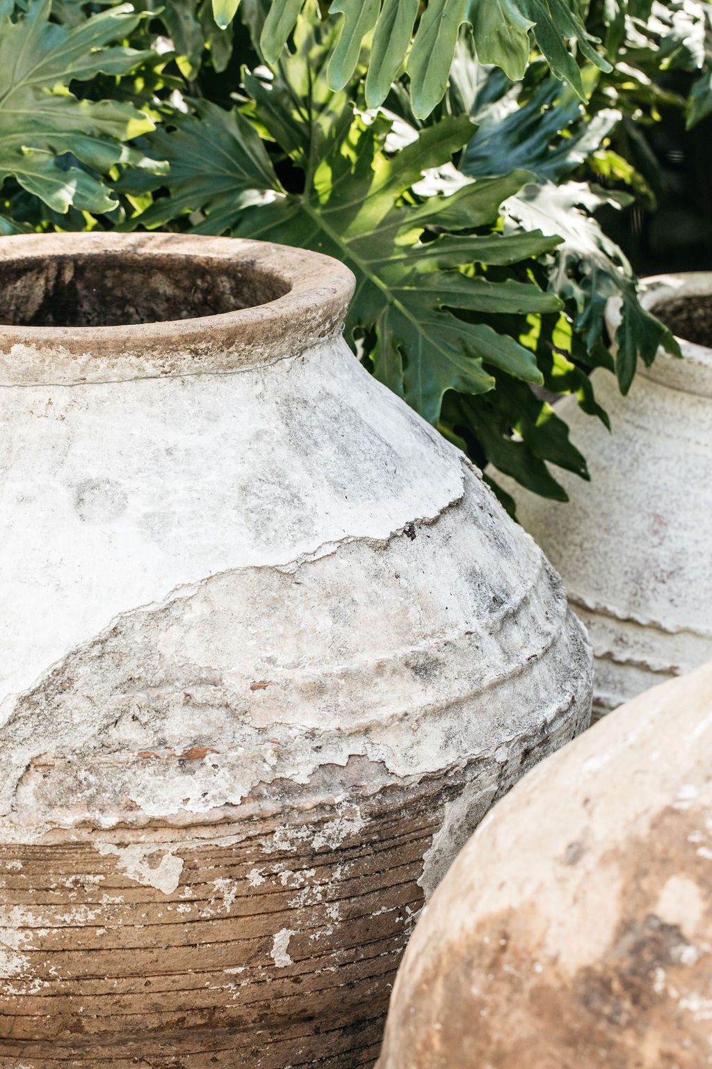 Large Terracotta Water Pot