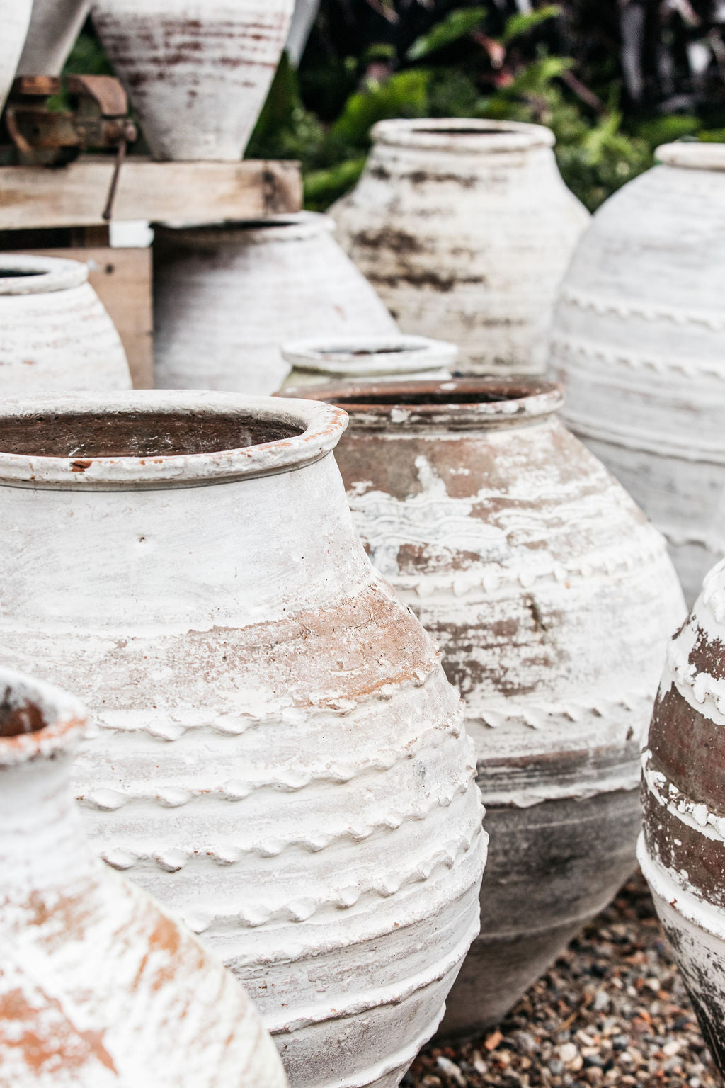turkish plant pots Medium Odemis Pot – The Palms Sydney