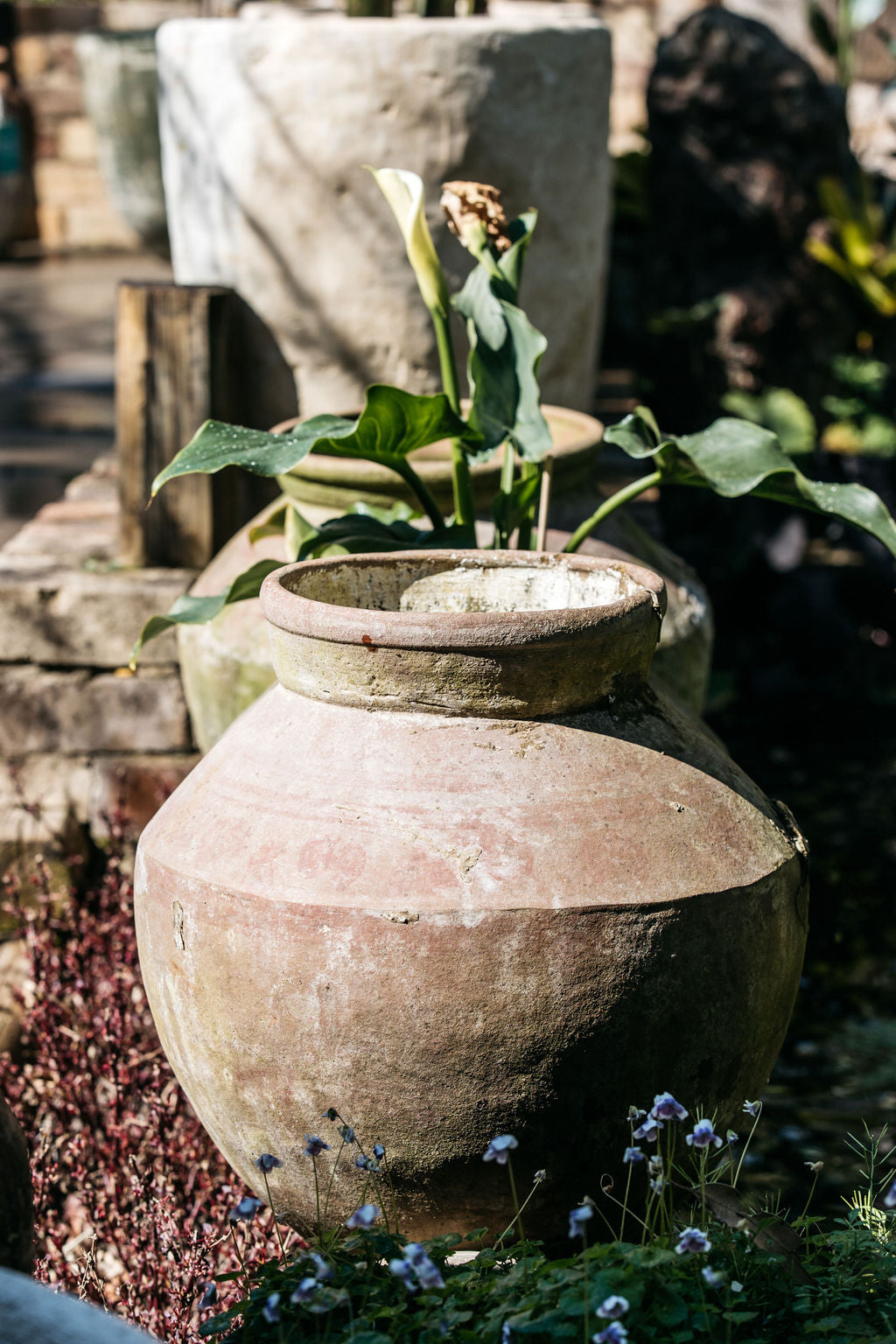 Medium Terracotta Water Pot