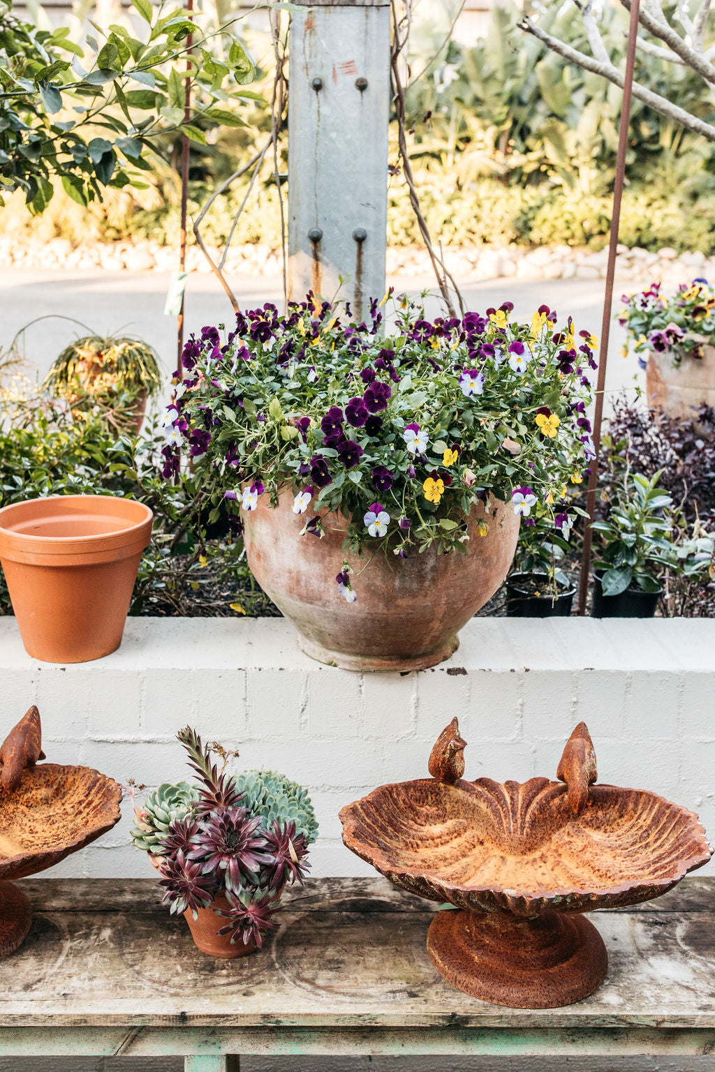 Cast Iron Bird Feeder