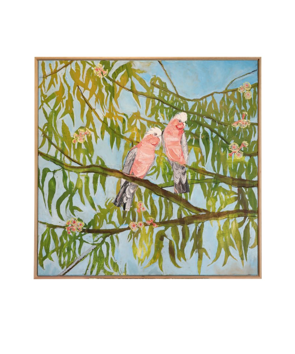 Lover Galahs