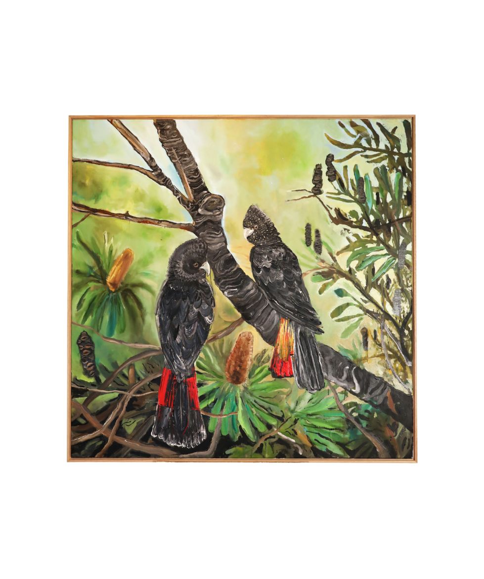 Been Here Before ( Black Cockatoos)